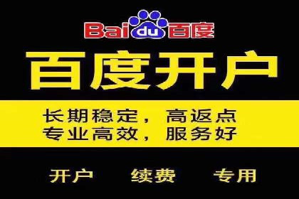 SEM推广实战：成功案例剖析